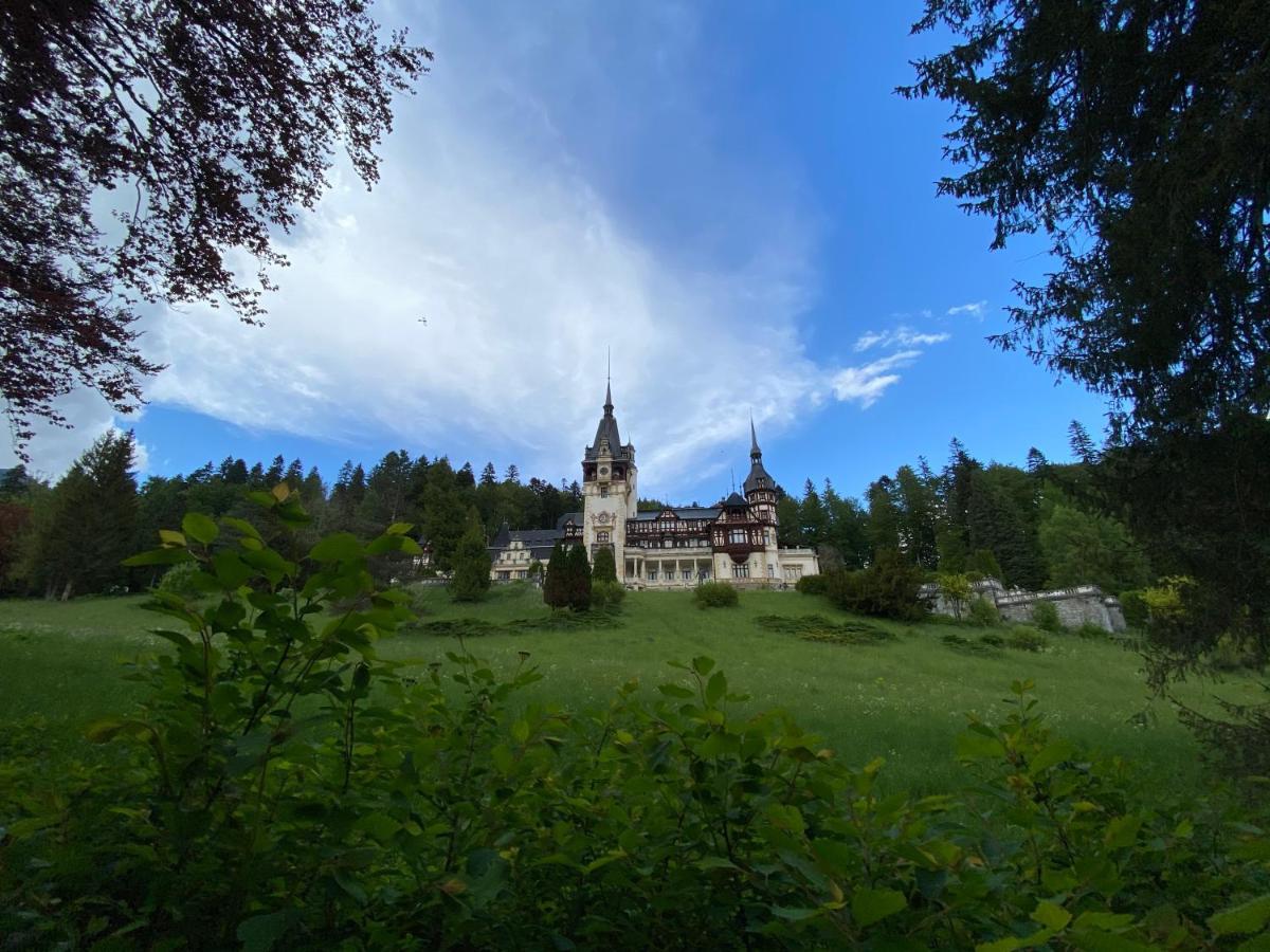 Vila De Argint Aleea Pelesului Nr 2 Sinaia Luaran gambar