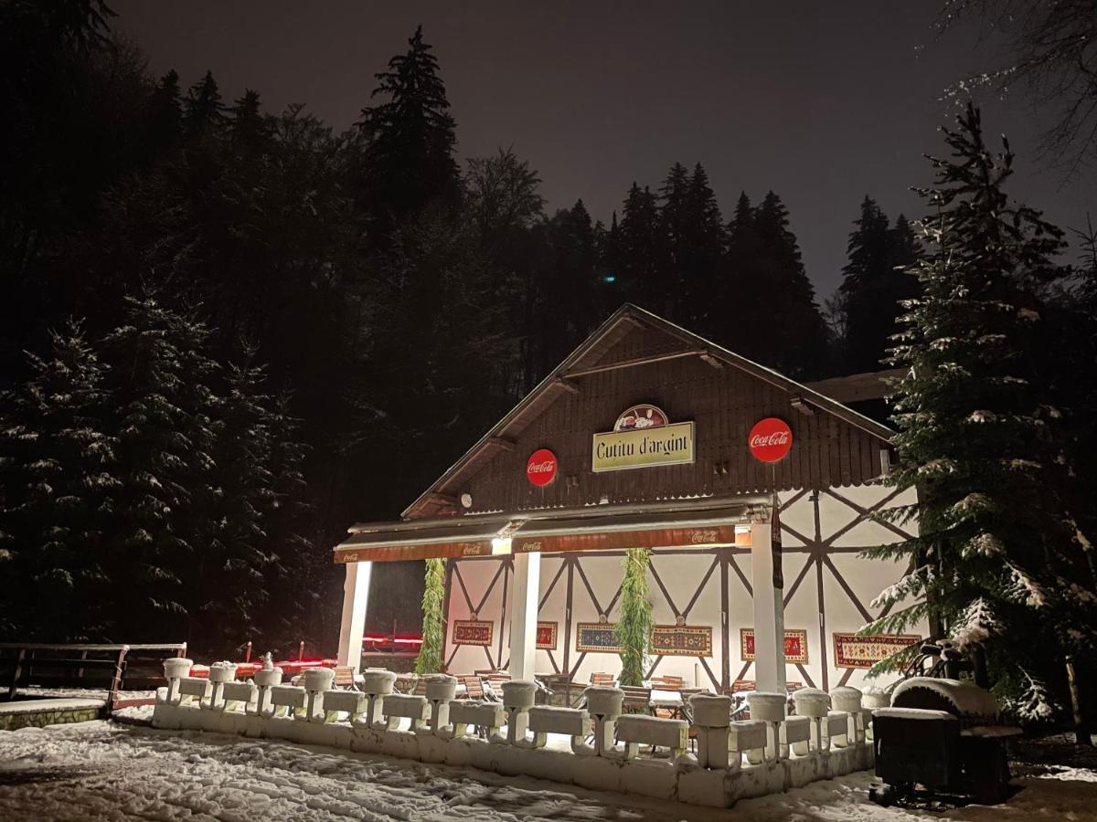 Vila De Argint Aleea Pelesului Nr 2 Sinaia Luaran gambar
