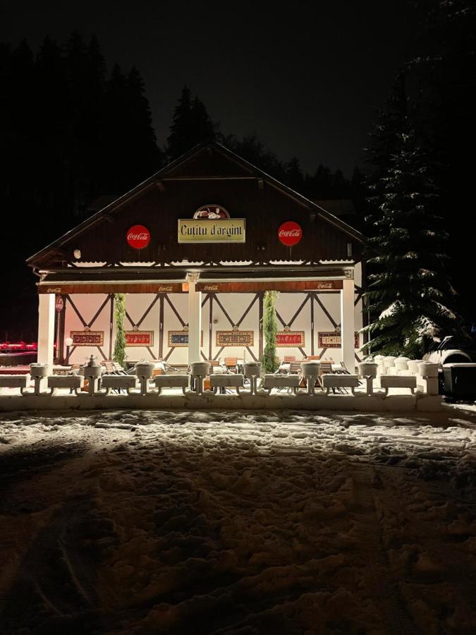 Vila De Argint Aleea Pelesului Nr 2 Sinaia Luaran gambar