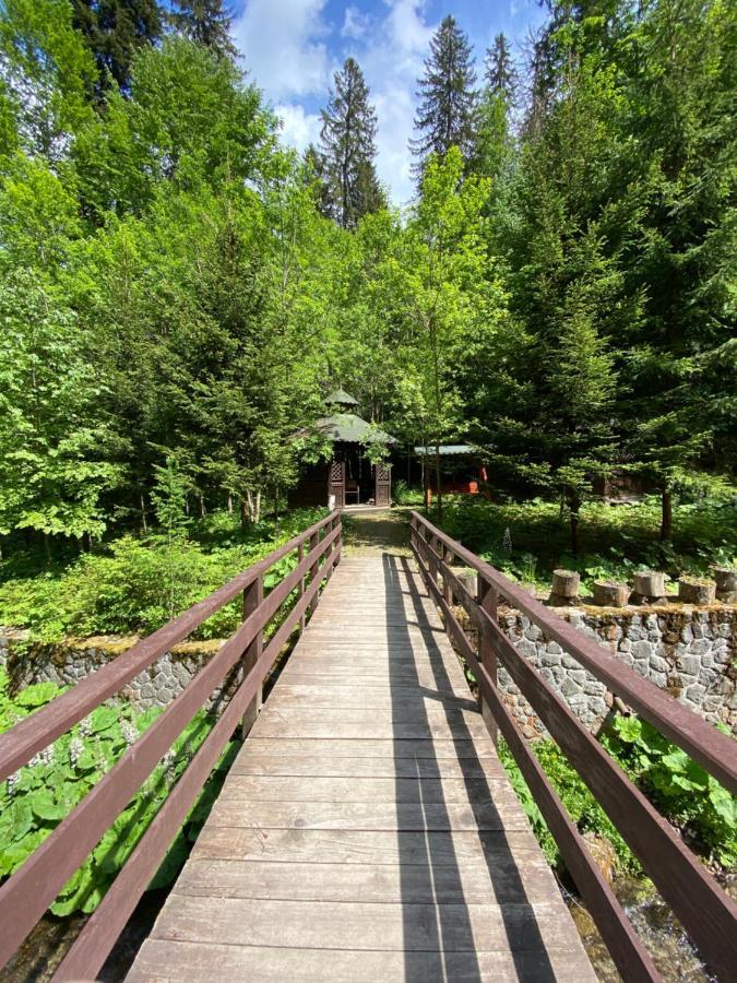 Vila De Argint Aleea Pelesului Nr 2 Sinaia Luaran gambar