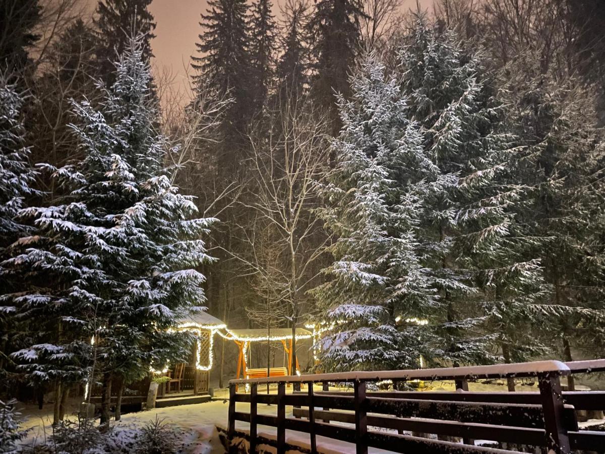 Vila De Argint Aleea Pelesului Nr 2 Sinaia Luaran gambar
