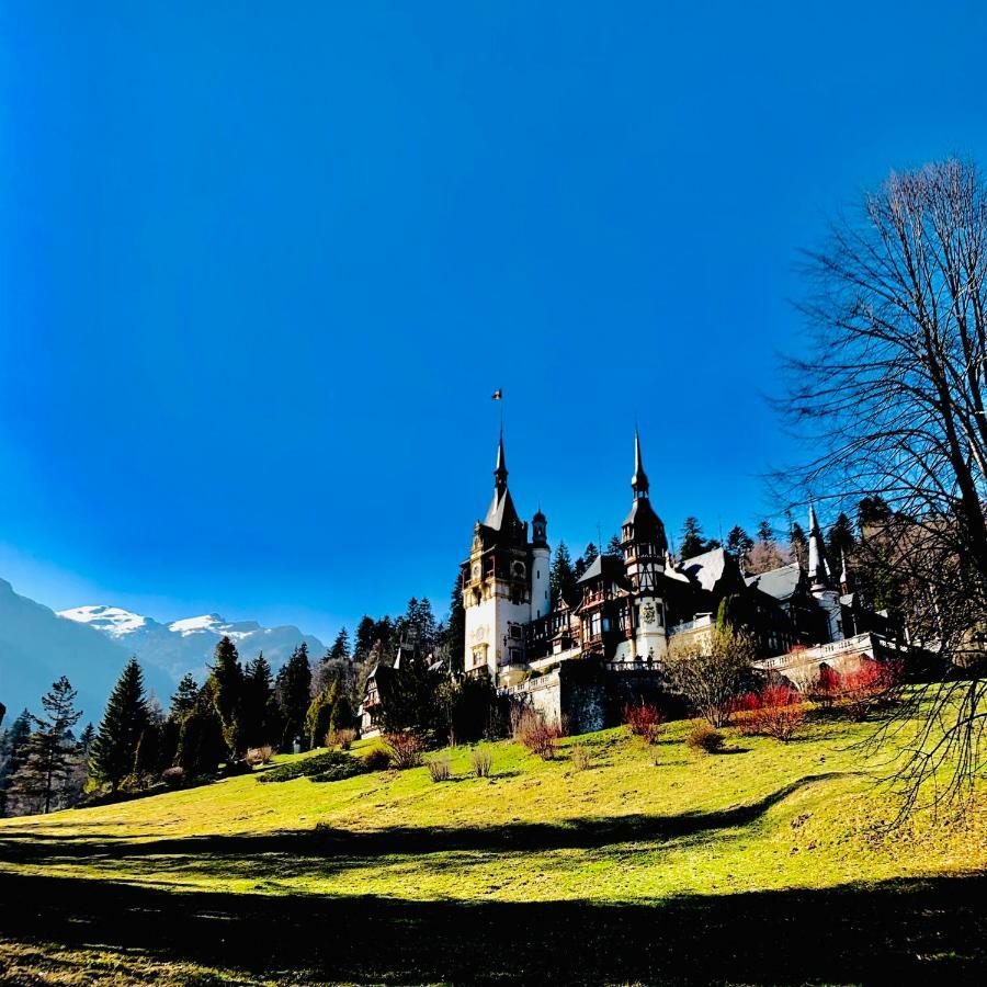 Vila De Argint Aleea Pelesului Nr 2 Sinaia Luaran gambar