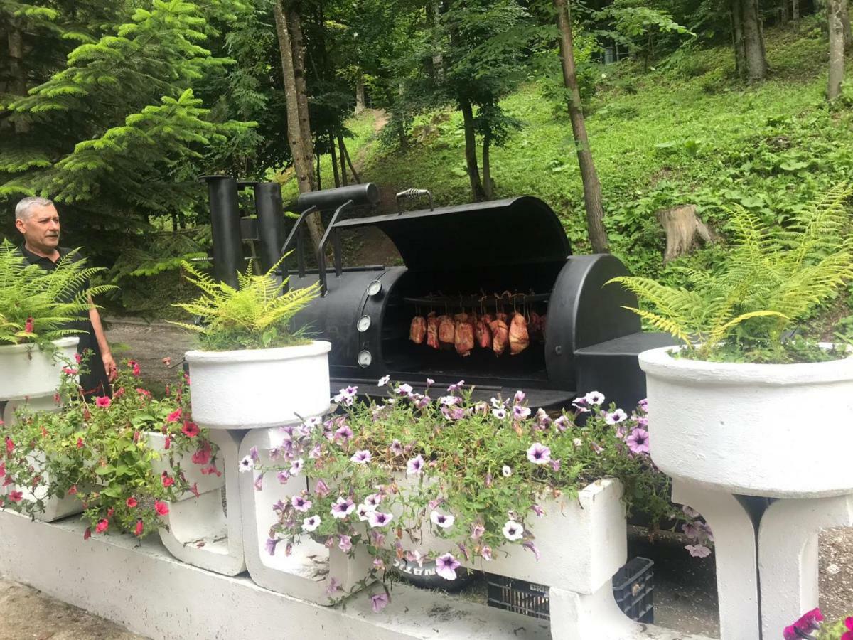 Vila De Argint Aleea Pelesului Nr 2 Sinaia Luaran gambar