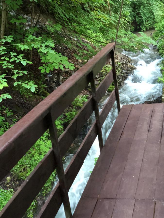 Vila De Argint Aleea Pelesului Nr 2 Sinaia Luaran gambar